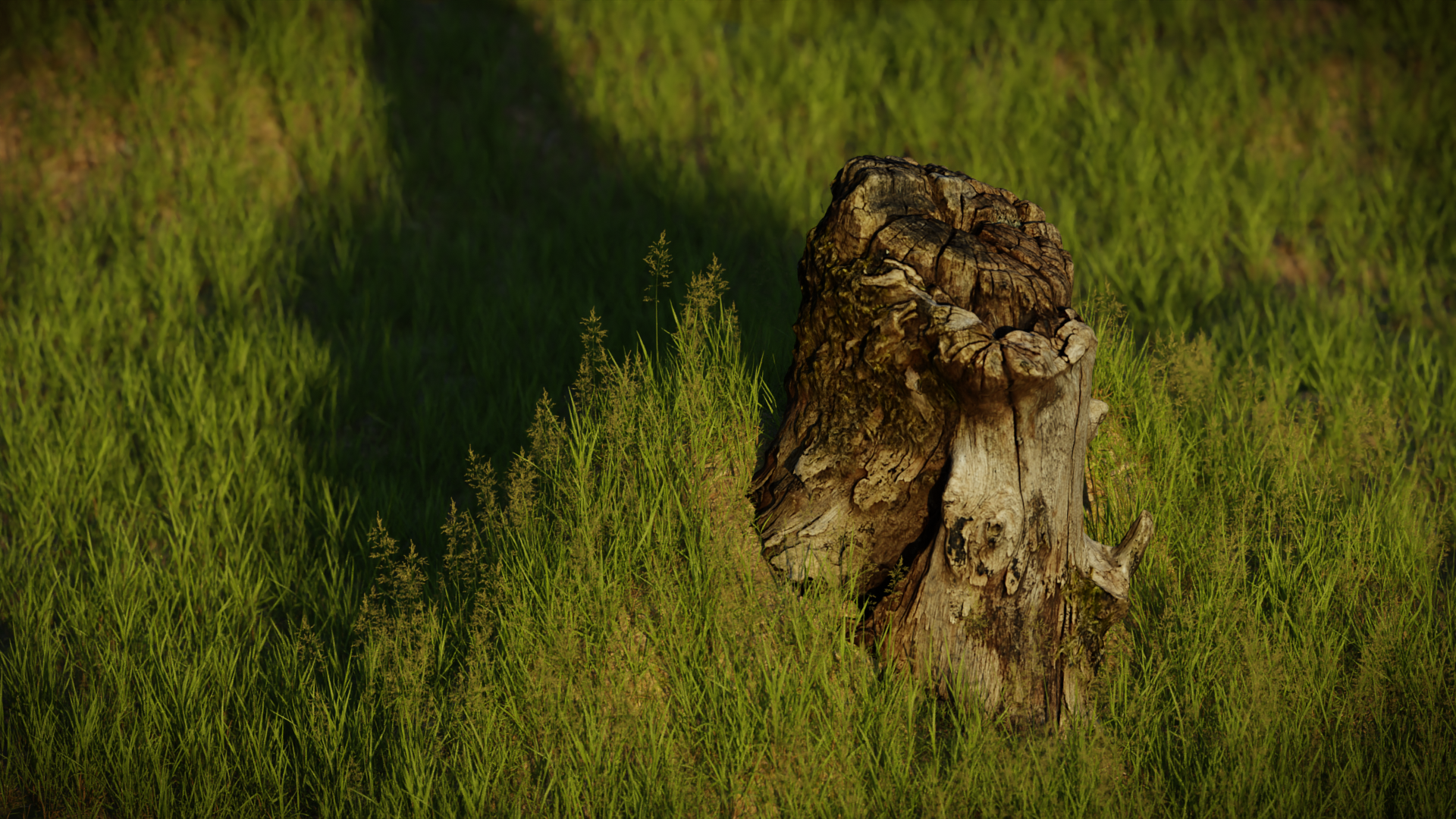 Tree Stump preview image 2